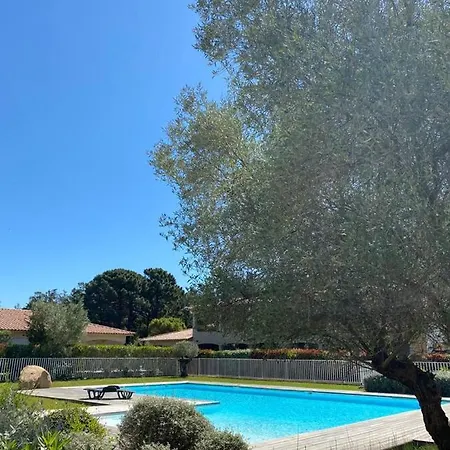 Bel T2 En Avec Piscine - Cala Rossa - Les Jardins D'alzetu アパート レクシ