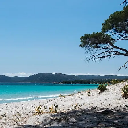 Bel T2 En Avec Piscine - Cala Rossa - Les Jardins D'alzetu アパート レクシ