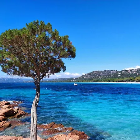アパート Bel T2 En Avec Piscine - Cala Rossa - Les Jardins D'alzetu