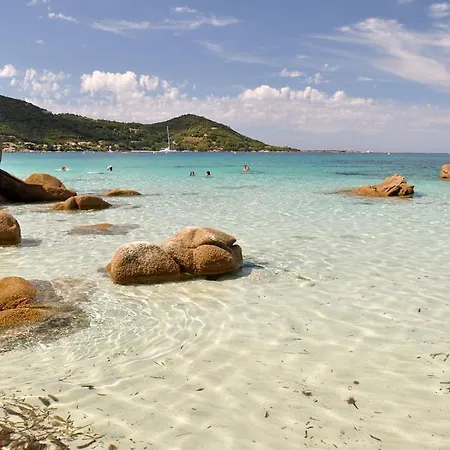 Bel T2 En Avec Piscine - Cala Rossa - Les Jardins D'alzetu アパート *
